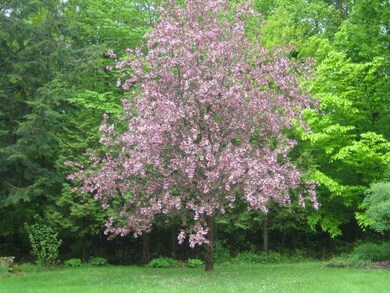 139 Fenderson Hill N, Wilton, ME 04294 - photo 2