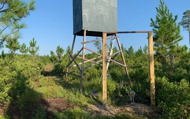 0 SE County Line Rd unit 129539, Lake City, FL 32025 - photo 3