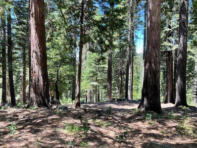 1619 Shoshone Dr, Dorrington, CA 95223 - photo 7