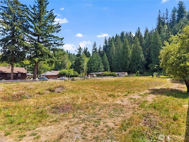 22221 SE Bain Rd, Maple Valley, WA 98038 - photo 6