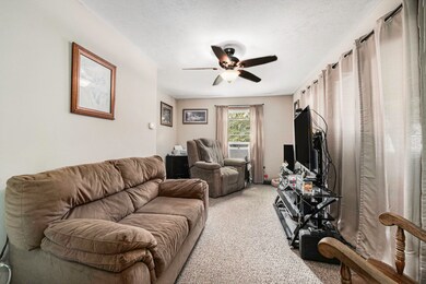 623 N Wilson St, Hastings, MI 49058 - photo 5