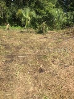 Owner has had lot partially cleared.