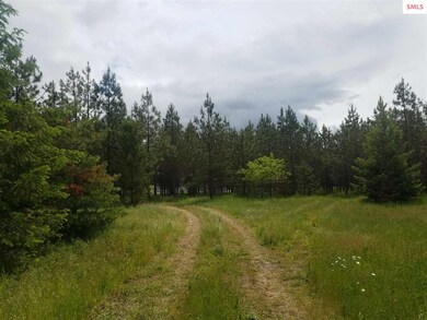 8158 E Howard Rd, Athol, ID 83801 - photo 6