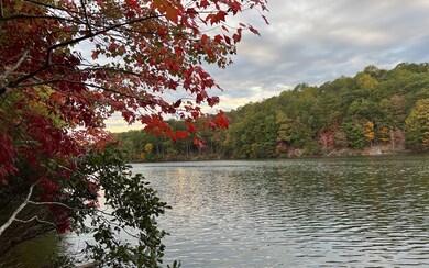 Additional View