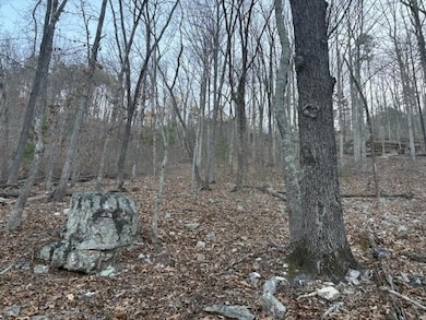 1135 Embry Ct, Ranger, GA 30734 - photo 2