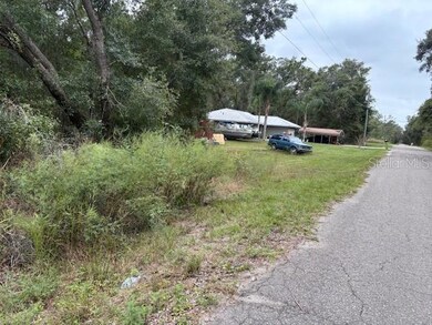 unlisted-address, Ocklawaha, FL 32179 - photo 3