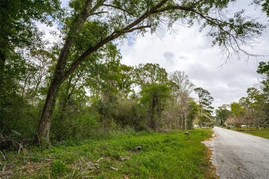0 County Road 4322 Holly St, Dayton, TX 77535 - photo 4