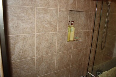 Master Bath Shower