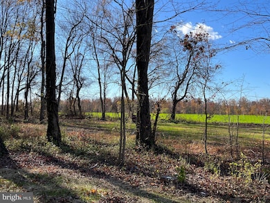 10971 Bottom Rd, Worton, MD 21678 - photo 4