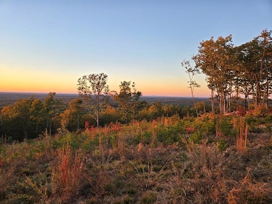 628 Mountain Creek Rd unit 7, Green Bay, VA 23942 - photo 2