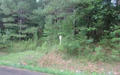 LT33 Foxpaw Leaf Ln, Ellijay, GA 30540 - photo 2