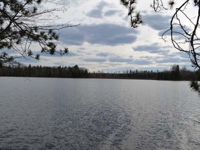 Lot 3 Forrester Rd, Tripoli, WI 54564 - photo 2