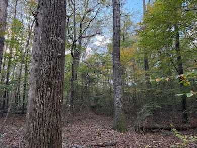 000 County Road 616, Athens, TN 37303 - photo 6