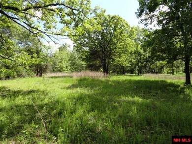 000 Diamond Bay Rd, Union Township, AR 72531 - photo 4