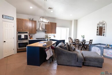 1335 Mcfarland Rd, Carlsbad, NM 88220 - photo 3