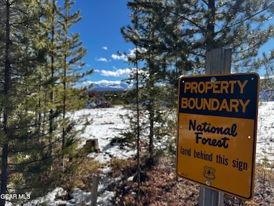 1154 Gcr 5002 Aka Moose Run Ln, Fraser, CO 80442 - photo 2