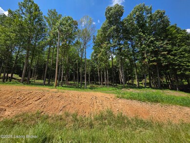 4 Cave Creek Rd, Falls of Rough, KY 40119 - photo 5