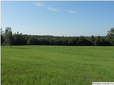 Beautiful pasture for your horses or cows.