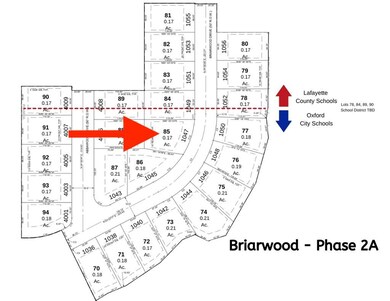 1047 Briarwood Dr, Oxford, MS 38655 - photo 4