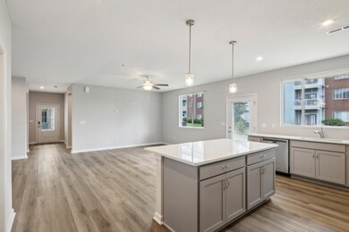 Retriever Way-014