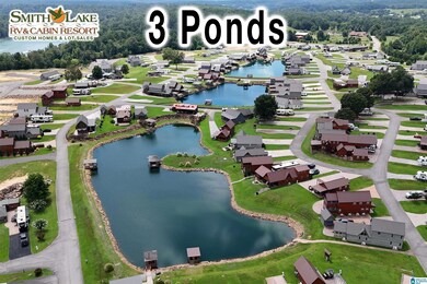 355 County Road 2030, Crane Hill, AL 35053 - photo 2