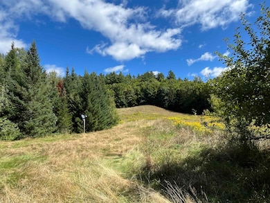 85 Hathaway Rd, Brandon, VT 05733 - photo 4