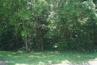 DSC08391