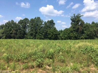 3555 Old Bachelor Creek Rd, Seagrove, NC 27341 - photo 2