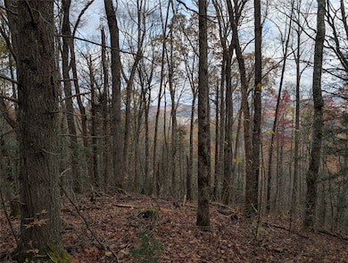 Lot 219 Drystack Way, Cashiers, NC 28717 - photo 2