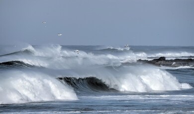 VIEWS FROM YACHATS OCEAN RD