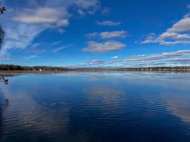 Vacant Township Park Rd, Springvale Township, MI 49770 - photo 3
