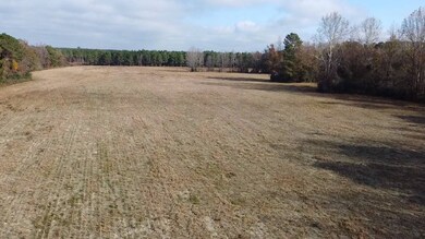 TBD Gaddy Rd, Fairmont, NC 28340 - photo 4