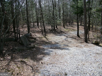 LOT 5 Blackberry Bend, Elberton, GA 30635 - photo 2