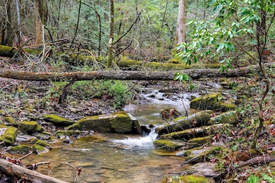 2424 Corral Rd, Signal Mountain, TN 37377 - photo 3