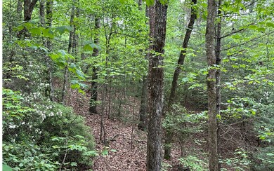 Additional View
