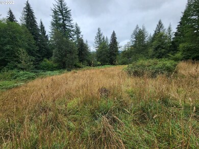 28310 NE Yacolt View Rd, Yacolt, WA 98675 - photo 4