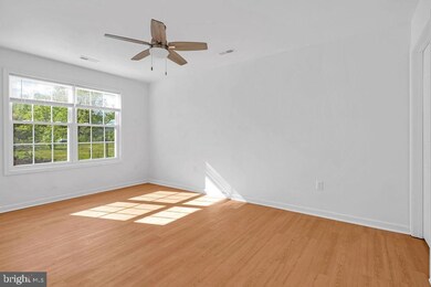 227 Stonewall St, Strasburg, VA 22657 - photo 6