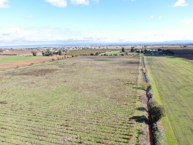 25839 MacKville Rd, Clements, CA 95227 - photo 4