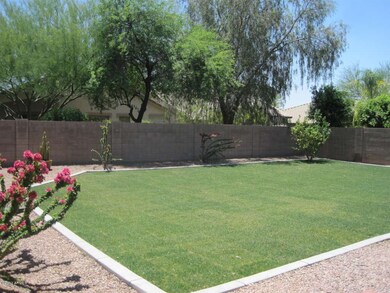 yard
