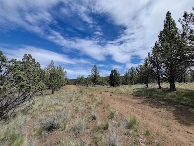 20102 SE Osprey Rd unit 800, Prineville, OR 97754 - photo 6