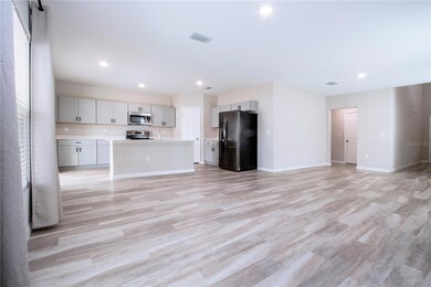 13106 Zolo Springs Cir, Riverview, FL 33579 - photo 7