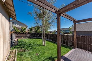 backyard 2