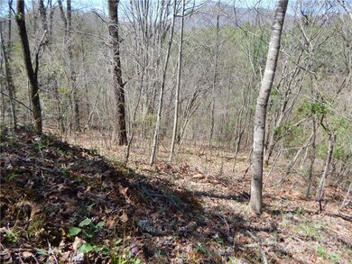 00 Blueberry Dr unit A, Cane River, NC 28714 - photo 3