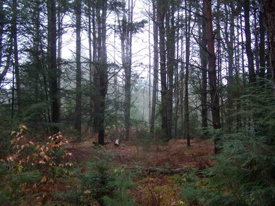 1855 Littleton Rd, Monroe, NH 03771 - photo 5