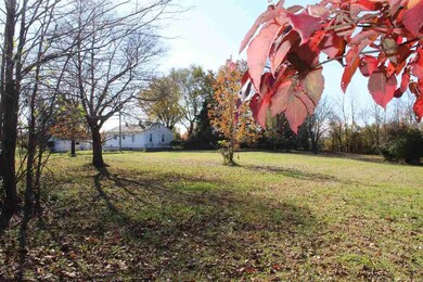 276 County Road 321, Poplar Bluff, MO 63901 - photo 3