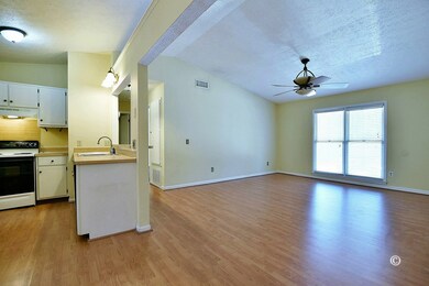 Great room, kitchen