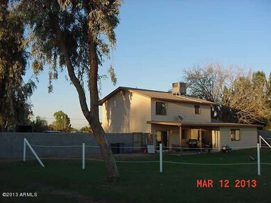 Back Yard 3