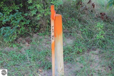 TBD Bonanza Ln unit 2 LOTS, Lake Isabella, MI 48893 - photo 6