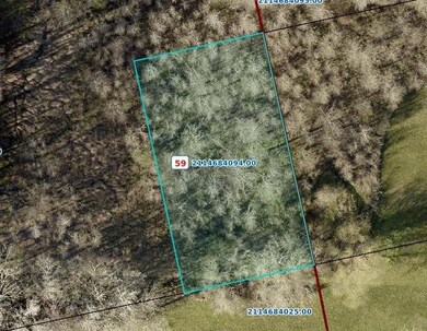 15295 Highway 90 Frontage Rd, Franklin, LA 70538 - photo 3