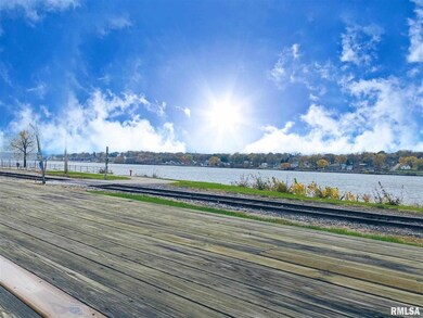 201 N Main St unit 201-1, Port Byron, IL 61275 - photo 7